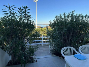 Port Camargue, T2 climatisé, terrasse, parking, animaux admis - FR-1-250-219